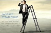 Veille Stratégique - Atelier "Accompagnement des dirigeants NTIC" - Mayotte - Juin 2017