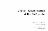 Digital transformation and the SME sector