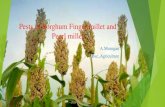 Pests of sorghum finger millet and pearl millet