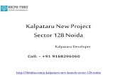 Kalpataru New Project Sector 128 Noida - New Project Noida