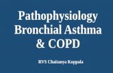pathophysiology of asthma and COPD