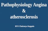Pathophysiology of angina and atheroslerosis