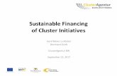 Sustainable Financing of Clusters