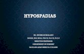 Hypospadias, epispadias and bladder exstrophy