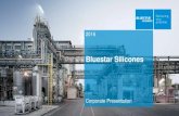 Bluestar Silicones - Corporate Presentation