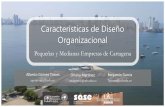 Ponencia SASE-RISE 2017: Características de Diseño Organizacional Pymes de Cartagena