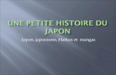 Une petite histoire du japon