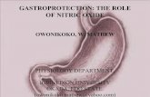 gastroprotective role of nitric oxide