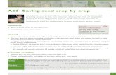 Saving Seed Crop by Crop ~ gardenorganic.org.uk