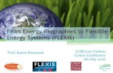 From Energy Biographies to Flexis