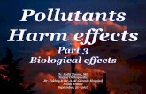 03 pollutants harm effects