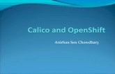 Calico and open shift