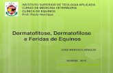 Dermatofilose  dermatofitose e feridas