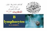 Lecture 8 "B lymphocytes"