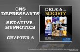Drugs & Society Chapter 6