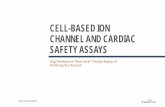 Cell-Based Ion Channel and Cardiac Safety Assays