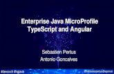 When Enterprise Java Micro Profile meets Angular