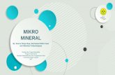 Mikro Mineral - Kelompok 1