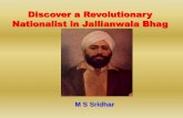 Discover a Revolutionary Nationalist in Jallianwala Bhag