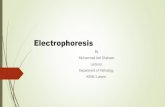 Electrophoresis, Gel and cellulose electrophoresis protocol