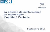 PMI LQ 2017-09-18 Martin Dupont Gestion de performance en mode Agile