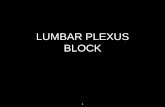 lumbar plexus block