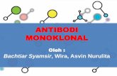 Antibodi monoklonal ppt