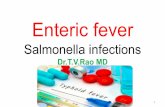 Enteric feverSalmonella infections by Dr.T.V.Rao MD
