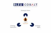 161103 Bleu Cobalt - Esprit Startup -vUK
