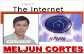 MELJUN CORTES Computer Organization lecture chapter22 internet