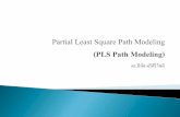 Partial least square path modeling