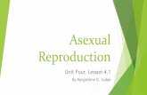 Unit 4, Lesson 4.1 - Asexual Reproduction