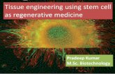 Tissue engineering and stem cell by regenerative medicine.pptx badal 2014