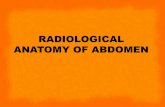Radiological anatomy of_abdomen[1]