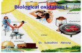 Biological oxidation i