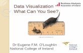 Data Visualization - What can you see? #baai17