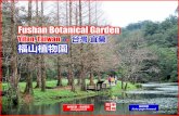 Fushan Botanical Garden, Yilan Taiwan (台灣 宜蘭福山植物園)