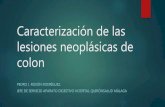 Caracterización de las lesiones neoplásicas precoces del colon (Pedro J. Rosón)