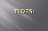 Marine Tide Notes