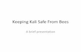 Keeping kali safe from bees