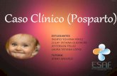 Caso Clinico N2 "Posparto"