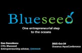 Blueseed - Lessons learned four years later