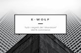 E-Wolf: presentazione del blog