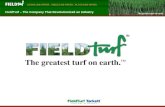 Field turf presentation