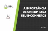 A Importância  de um ERP para seu E-Commerce
