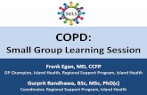 COPD: Small Group Learning Session