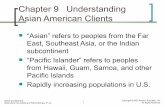 Asian American slides