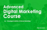 Digital Marketing Course in Chandigarh - CIIM