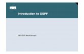 2 - Introduction to OSPF - PacNOG - PacNOG: The Pacific ... · PDF fileIntroduction to OSPF ISP/IXP Workshops