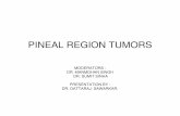 Pineal Region Tumors 2011. · PDF file• Most tumors are centered at pineal gland, some extend to For. Monro. 3 April 2012 PINEAL REGION TUMORS 3. SURGICAL ANATOMY • Mostly, ICV,
